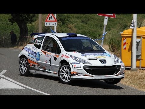 36° Rally Alta Val di Cecina 2014