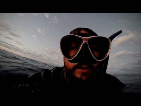 5 Most Disturbing Diving Videos