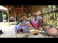 DESI CHICKEN RECIPE Tribal Village Life With Country Chicken Curry By Our Grandfather Grandmother