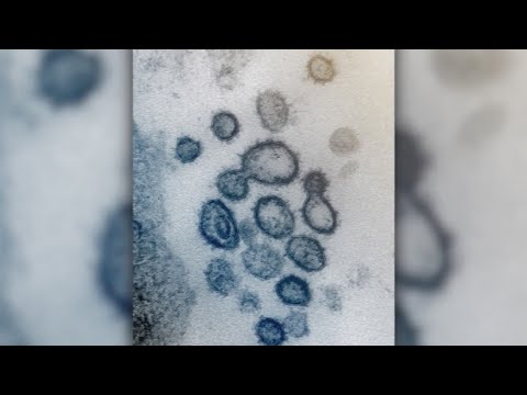 WHO warns that new virus variant poses 'very high' risk