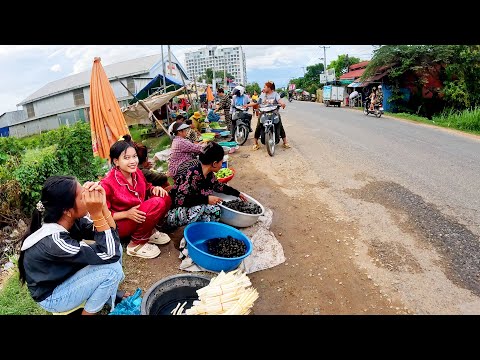 Street Food Tour in Kandal Province & City, Cambodia, Countryside Market, Best Food Compilation
