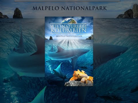 Weltnaturerbe Kolumbien: Malpelo Nationalpark
