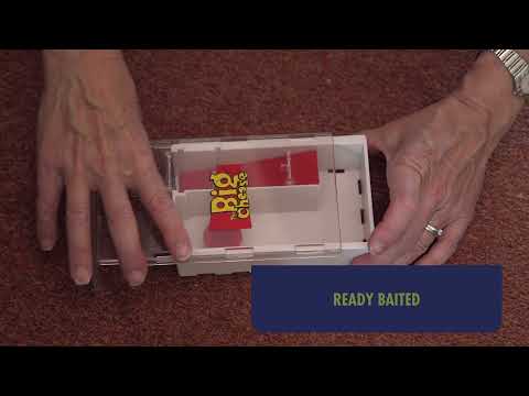 Catch Mice Alive In Your Home - The Big Cheese - COM121