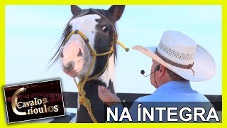 Miniatura do vídeo