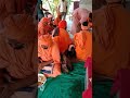 Shri 1008 Mahamandaleshwar Rajendra Giri Ji