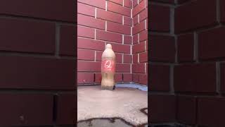 Download lagu Reverse video || Fanta Coca-Cola Sprite Pepsi vs Mentos #shorts mp3