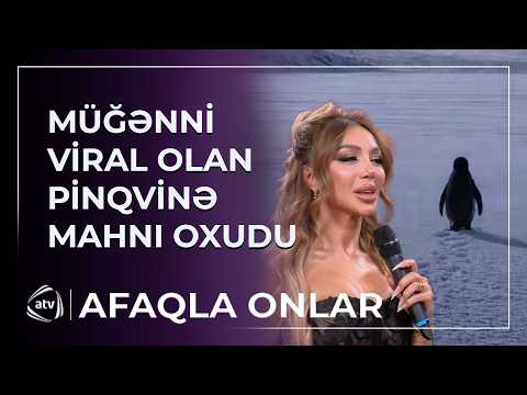 Lətifə Soyuöz viral olan pinqvinə MAHNI OXUDU / Afaqla onlar