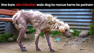 Itne bure skin infection wale dog ko rescue karne ka parinam | An ugly truth of a dog rescue