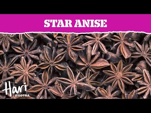 download lagu mp3 mp4 Is Star Anise A Spice, download lagu Is Star Anise A Spice gratis, unduh video klip Is Star Anise A Spice
