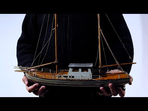 CUTI VERICAD - Nadar entre tiburones