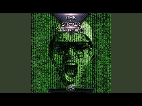 Animatrix (GMS & Stryker Remix)