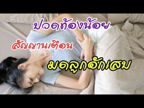 แสดงสมาชิกที่เล็กที่สุดในขนาด ค้อน Maynkraft ของ ธ อร์