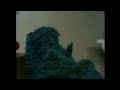 Cookie Monster Temper Tantrums About Pillow