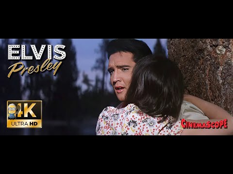 Elvis Presley AI 4K Enhanced ⭐UHD⭐ - Catchin' on Fast (1964)