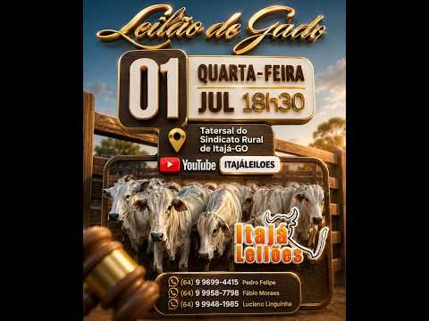 LEILAO DE GADO DA ITAJÁ LEILÔES