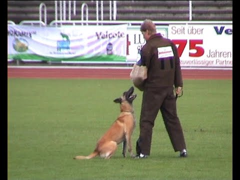 Kurzclips FCI WM, SV BSP