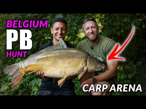 Chasing a NEW PB CARP in Belgium with Mark Pitchers!
