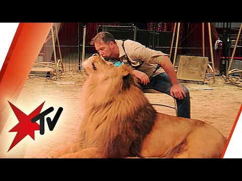 Director of Circus Krone: How the "Lion King" deals with animal rights activists | stern TV