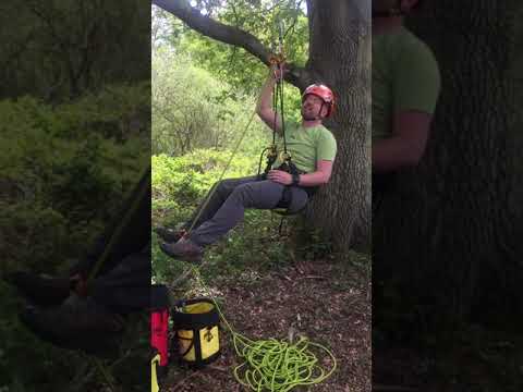 Petzl Training May 2019