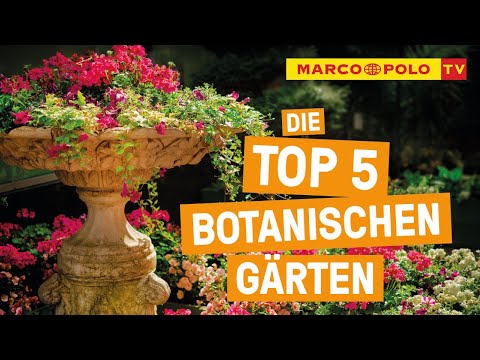 Blumen, Blüten, Beauty! - Die Top 5 Botanischen Gärten Deutschlands
