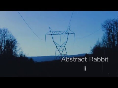 abstract rabbit - 
