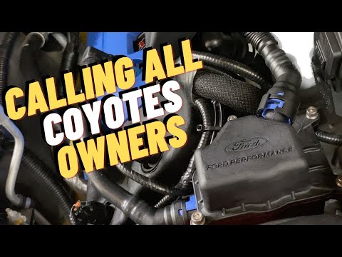 Coyote 5.0L Ford Performance catch can review and install