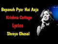 Bepanah Pyar Hai Aaja Song Lyrics Shreya Ghosal Suna Suna Lamha Romantic Song