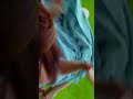 Pranitha Hottest 4K
