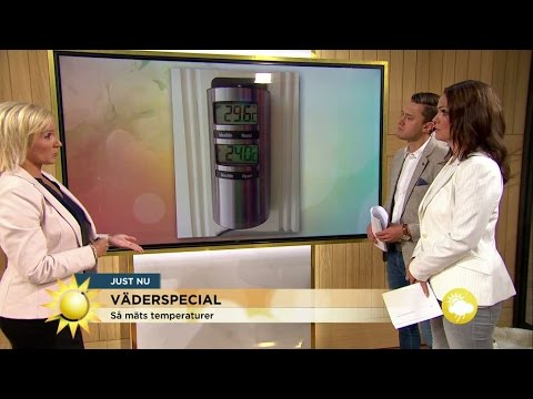 Väderspecial: "Höstkänning på gång" - Nyhetsmorgon (TV4)