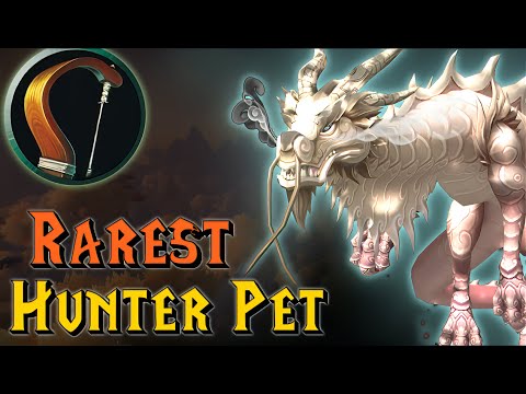 Can YOU tame the RAREST Hunter Pet?!