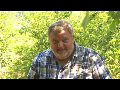 Sumar "Sănătate cu de toate"  24 octombrie 2021