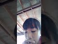 โปรพีฟาย