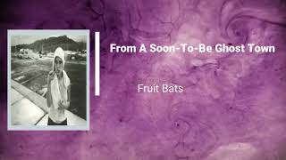 Fruit Bats - From A Soon To Be Ghost Town (Lyrics)