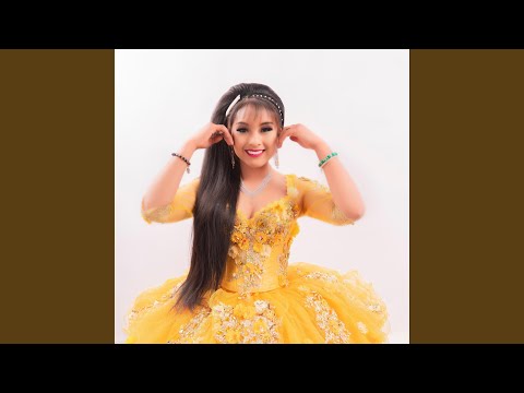 Destrozaste Mi Corazón