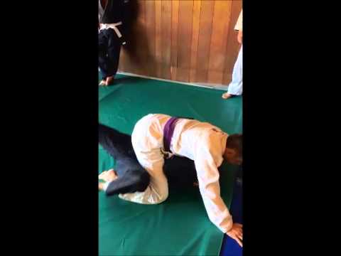 12b Mount Escape, Push Leg & Trap Foot