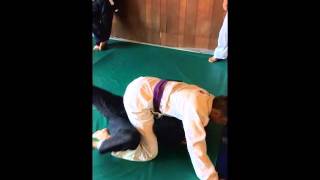12b  Mount Escape, Push Leg & Trap Foot
