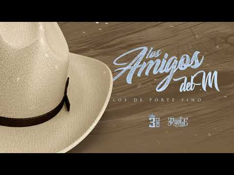 Los De Porte Fino - Los Amigos Del M (Audio Visualizer) 2023