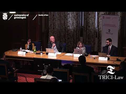 Panel 3 / A Comparative Perspective on the Interpretation of Customary Law by the EU