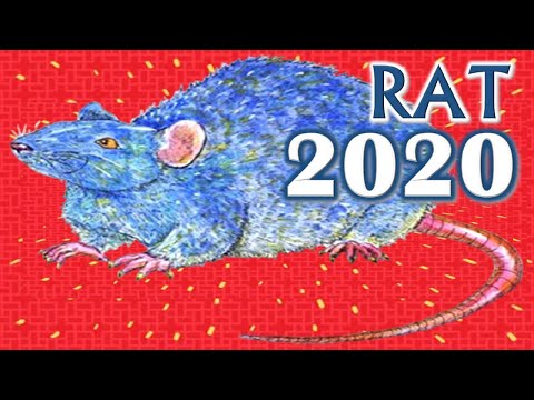 download lagu mp3 mp4 Chinese New Year 1996, download lagu Chinese New Year 1996 gratis, unduh video klip Chinese New Year 1996