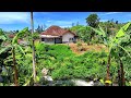 Inilah Kampung Terindah Di Pelosok Ciwidey Dengan Udara Super Sejuk Perkampungan Suasanapedesaan