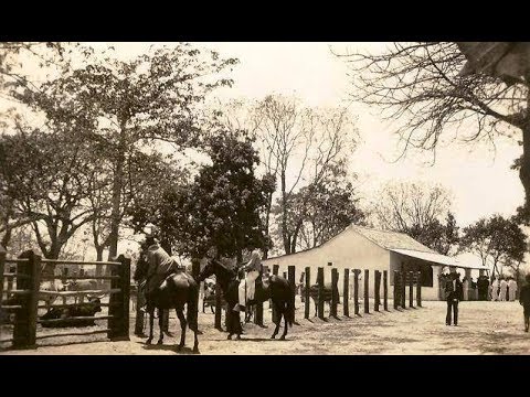 FG Los Naranjos - Francisco Montoya