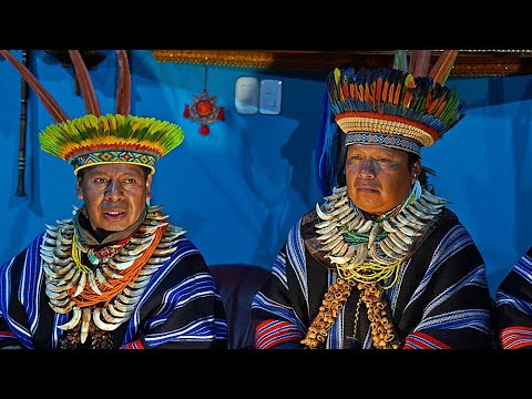 Trailer-Vorschau: Go Heal Yourself