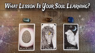 🧝‍♂️🌟 What LESSON Is YOUR SOUL Learning? 🧝‍♀️🌟 Pick A Card Reading