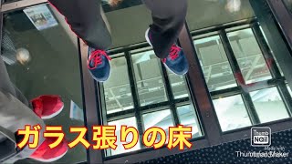 東京スカイツリーのガラス張りの床が怖すぎた。
