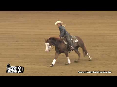 Chics Dig Gunner ridden by Kaci O Rourke  - 2017 NRBC (Open Prelims)