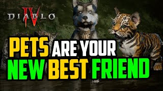 Diablo 4 Pets are your new Best Friend