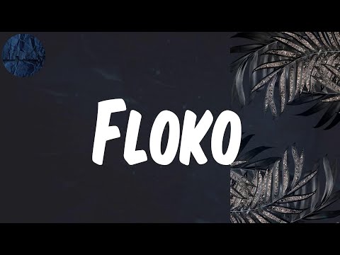 (Lyrics) Floko - Davinhor