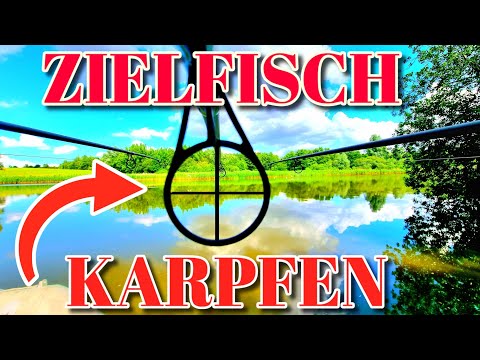 24 Stunden Schlaflos auf Karpfen. Erfolgreiches Angeln in Juli 2023