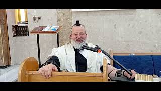 הרב יצחק לוי | רב העיר נשר | הלכה יומית י"ט סיון | פיקוח נפש בזמן תפילה (הרב יצחק לוי) - התמונה מוצגת ישירות מתוך אתר האינטרנט יוטיוב. זכויות היוצרים בתמונה שייכות ליוצרה. קישור קרדיט למקור התוכן נמצא בתוך דף הסרטון