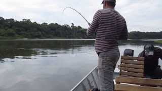 preview picture of video 'pescaria rio Guaporé Pedras Negras RO  13/10/2013( Léo Rodrigues tirando tracajá )'